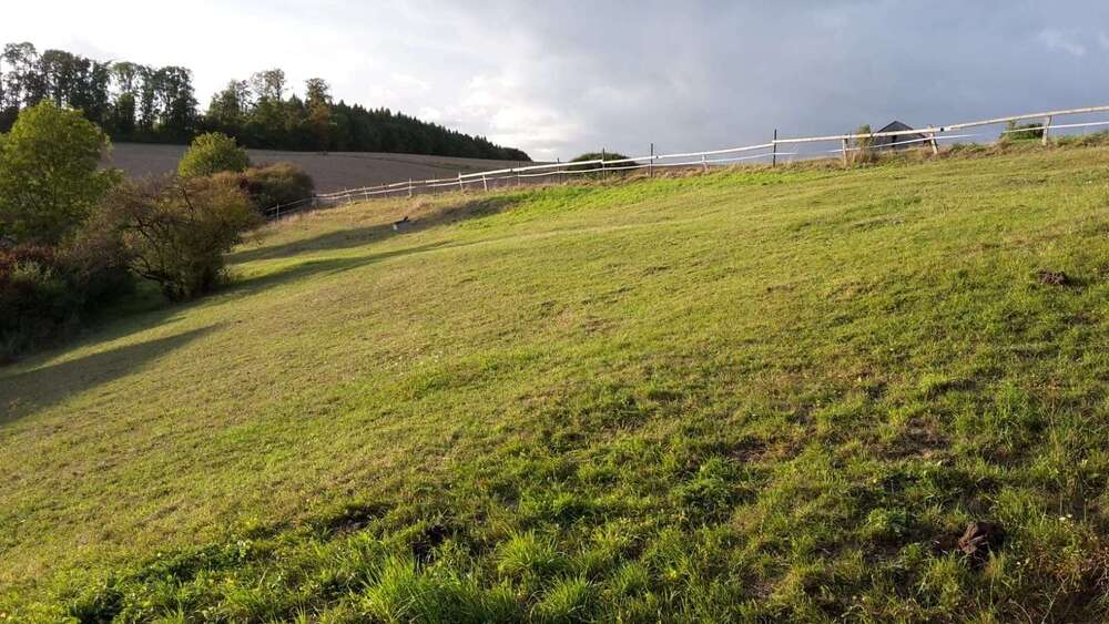 Grundstück Willebadessen - 80.000&euro; | Angebot:23509380