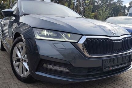Skoda Octavia 134.496 km 16.350 &euro; Schlangen 33189