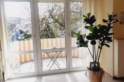 Wohnung Horn-Bad Meinberg Bad Meinberg - 2 Zimmer, 74 m&sup2;, 480&euro; | Angebot:26334957