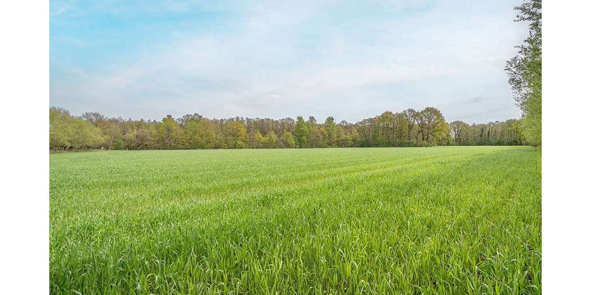 Grundstück Hövelhof - 1.684.900&euro; | Angebot:27295971