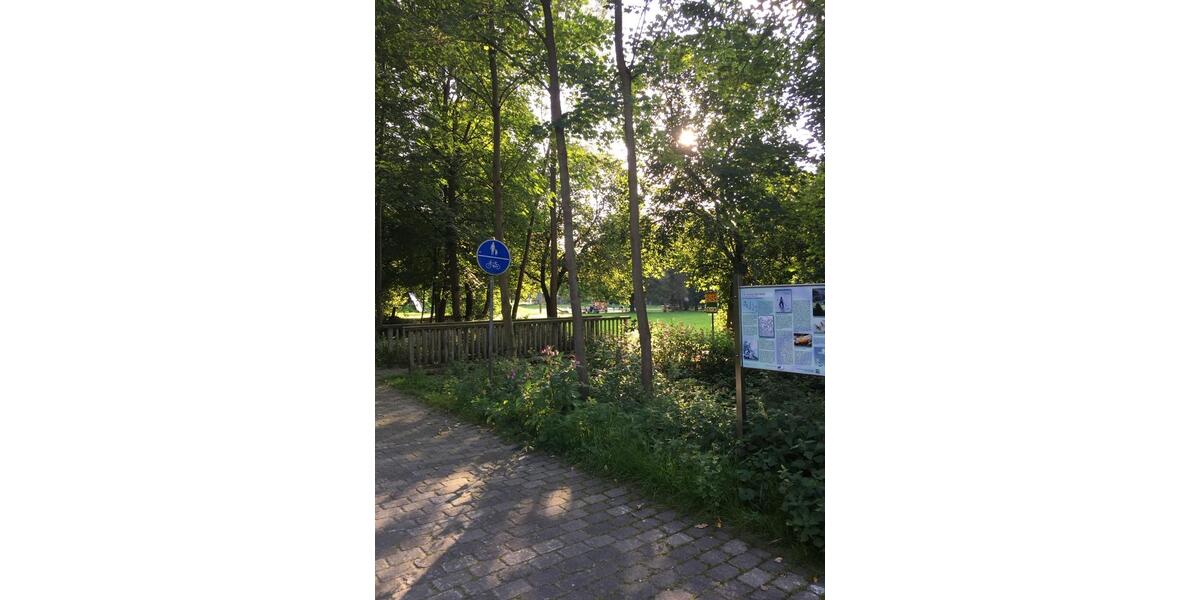 Etagenwohnung Büren - 3 Zimmer, 88 m&sup2;, 720&euro; | Angebot:27547907