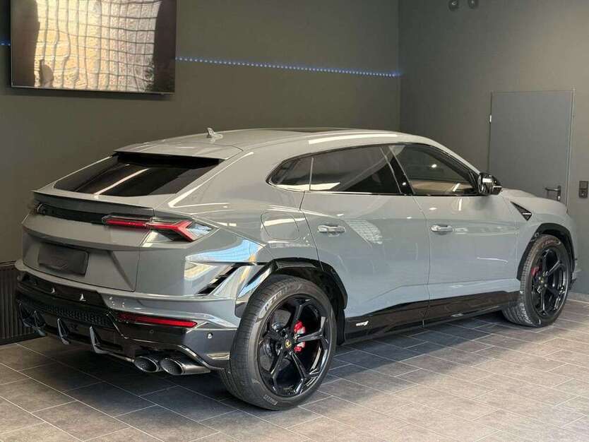 Urus