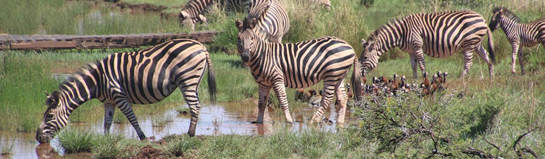 Safariland Stukenbrock