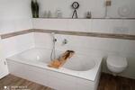 Bungalow Steinheim - 330.000&euro; | Angebot:27617931