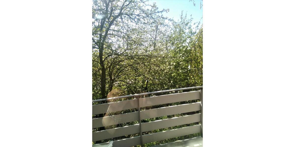 Sehr helle Dachgeschoss-Wohnung mit Süd-Westbalkon im Grünen zimmer