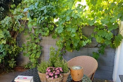 Wohnung Bielefeld Stieghorst - 1 Zimmer, 42 m&sup2;, 485&euro; | Angebot:24704199