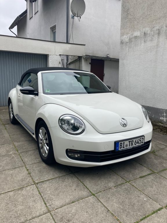 Beetle