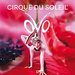 Cirque du Soleil - OVO - Premiere