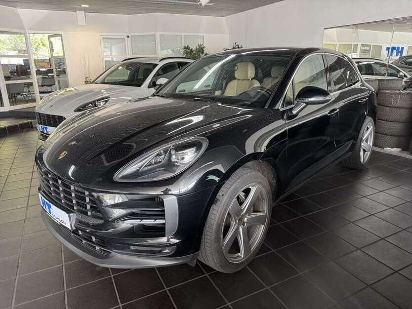 Macan