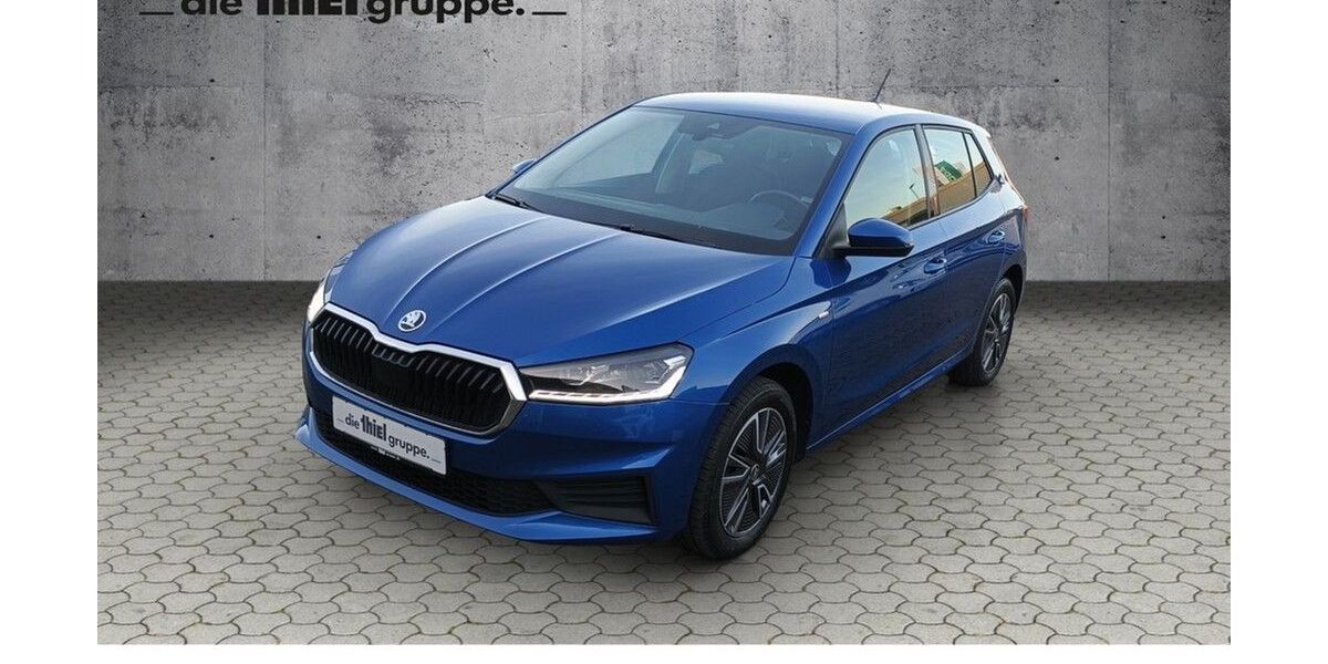 Skoda Fabia 66.500 km 14.990 € Paderborn 33104
