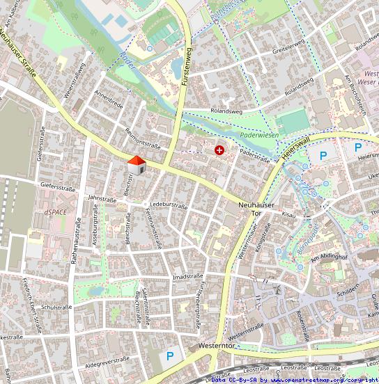 Moderne 2-Zimmer-Wohnung für Singles mit Küchenzeile und Kühlschrank im Herzen von Paderborn 2 zimmer