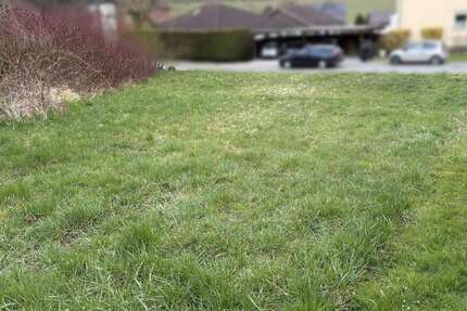 Grundstück Horn-Bad Meinberg Bad Meinberg - 175.000&euro; | Angebot:26201954