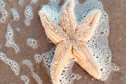 Wohnung Lippstadt - 3 Zimmer, 47 m&sup2;, 689.000&euro; | Angebot:26266034