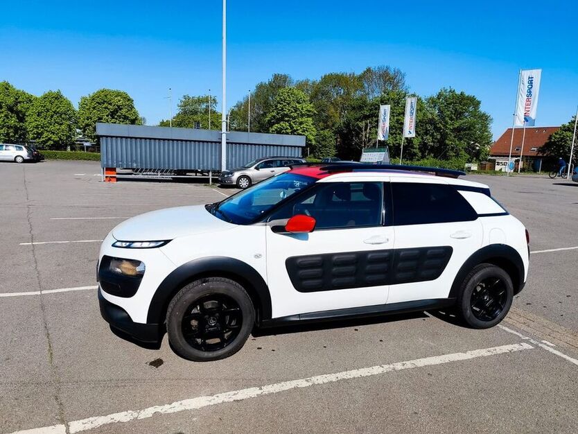C4 Cactus