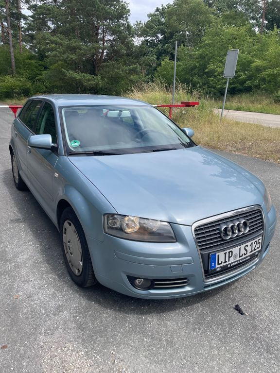 A3