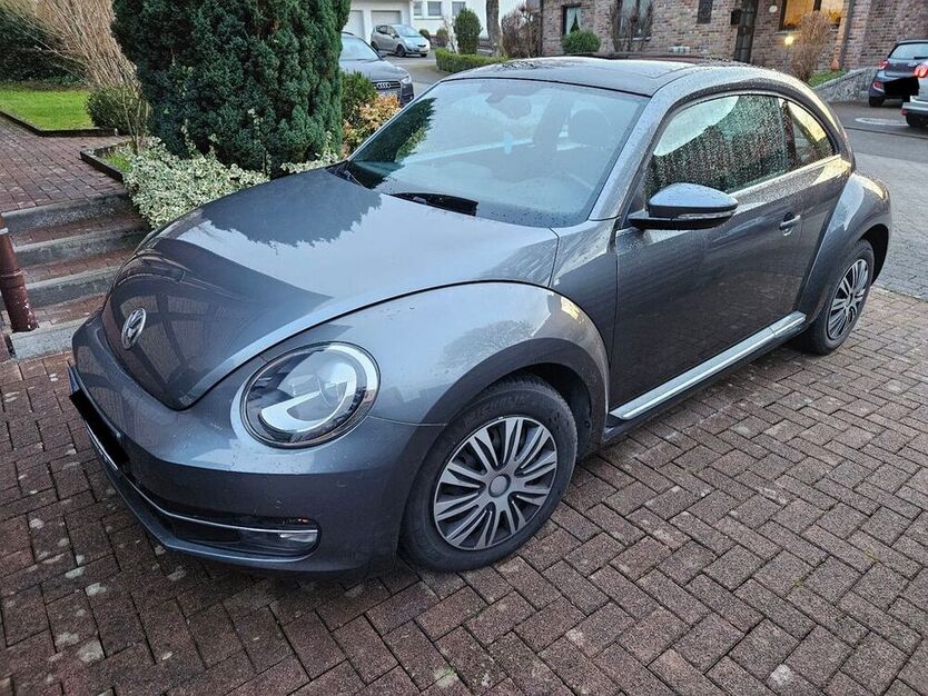 Beetle